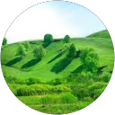 kajal kadam profile picture